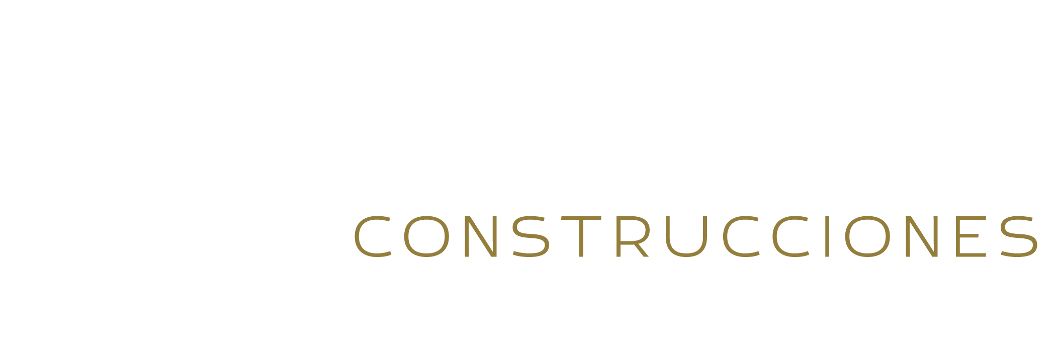 TORO NEGRO